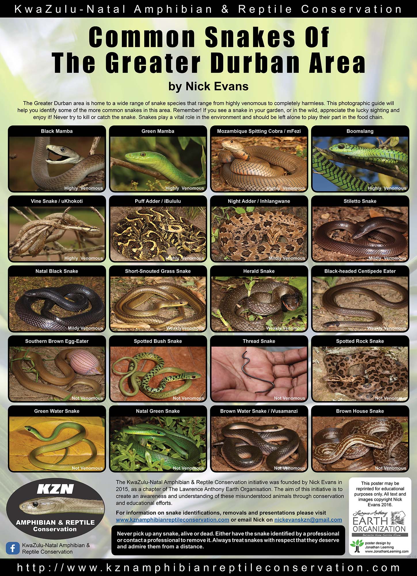 Snakes of Durban